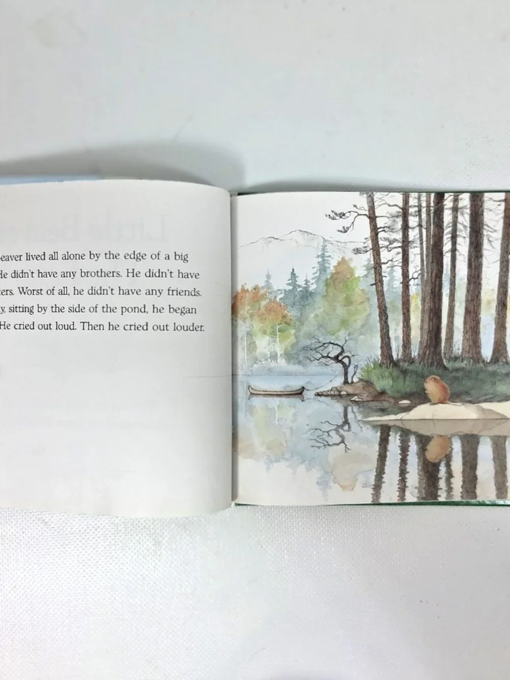 Little Beaver and The Echo by Amy MacDonald, Children's Book, 90s Y2K